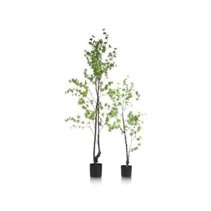Coco Maison Tropaeolum kunstplant H210cm